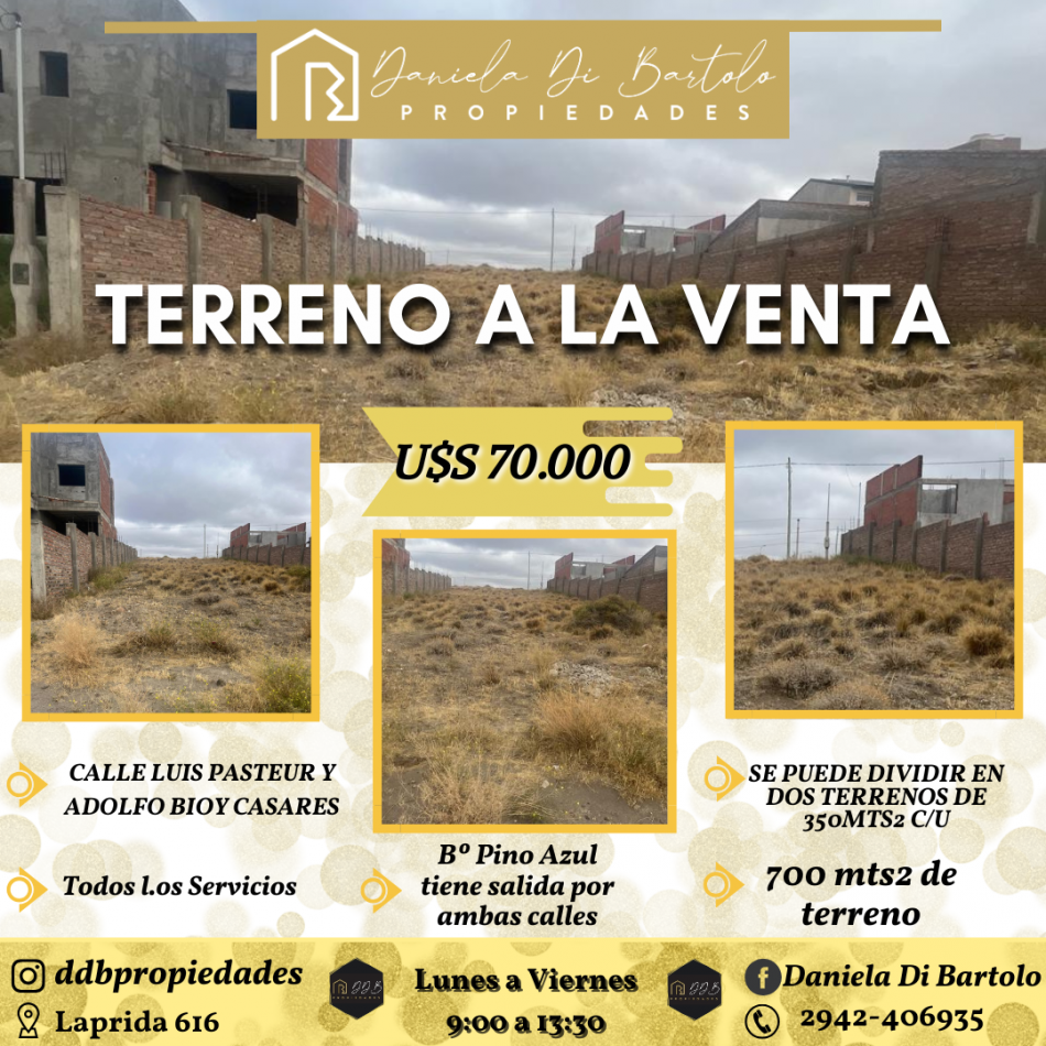 TERRENO EN VENTA - AMPLIO LUIS PASTEUR Y Bioy Casares