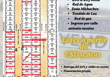 Loteo El Piñonero- Michacheo