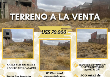 TERRENO EN VENTA - AMPLIO LUIS PASTEUR Y Bioy Casares